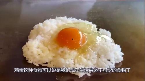 鸡蛋生产爆料视频播放,视频带你走进农场现场